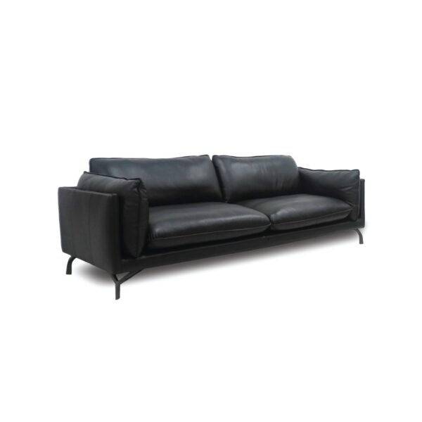 Modern black leather sofa with sleek design, perfect for contemporary living rooms.